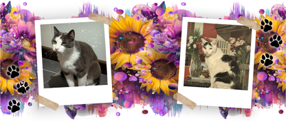 Close-up of personalised pet mug showing vibrant full-wrap photo print"